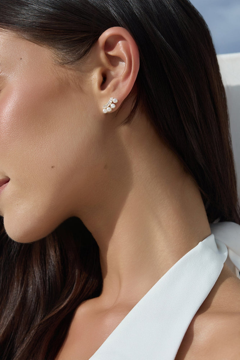 Crown Treasure Earrings Silver
