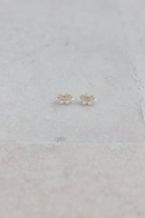 Crown Treasure Earrings Silver