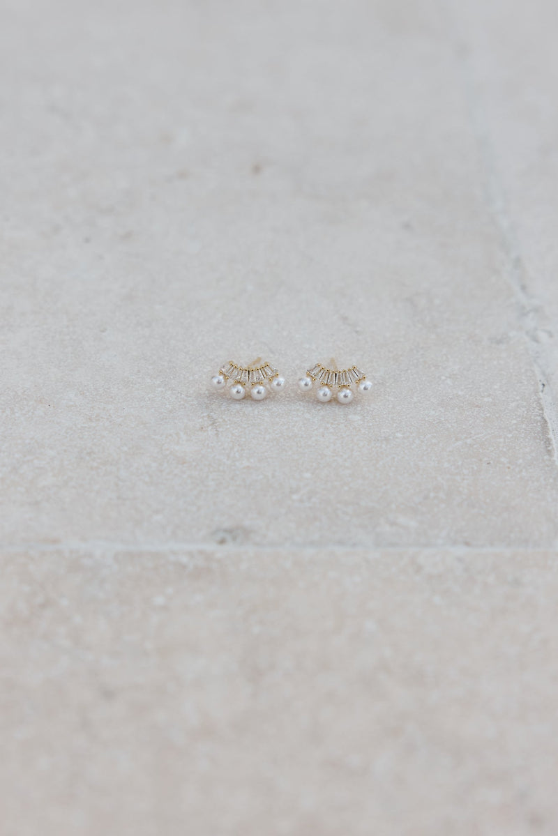 Crown Treasure Earrings Silver