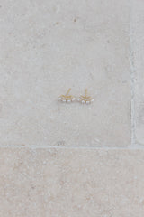 Crown Treasure Earrings Silver