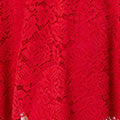 Lace Overlay Knee Length Skater Dress